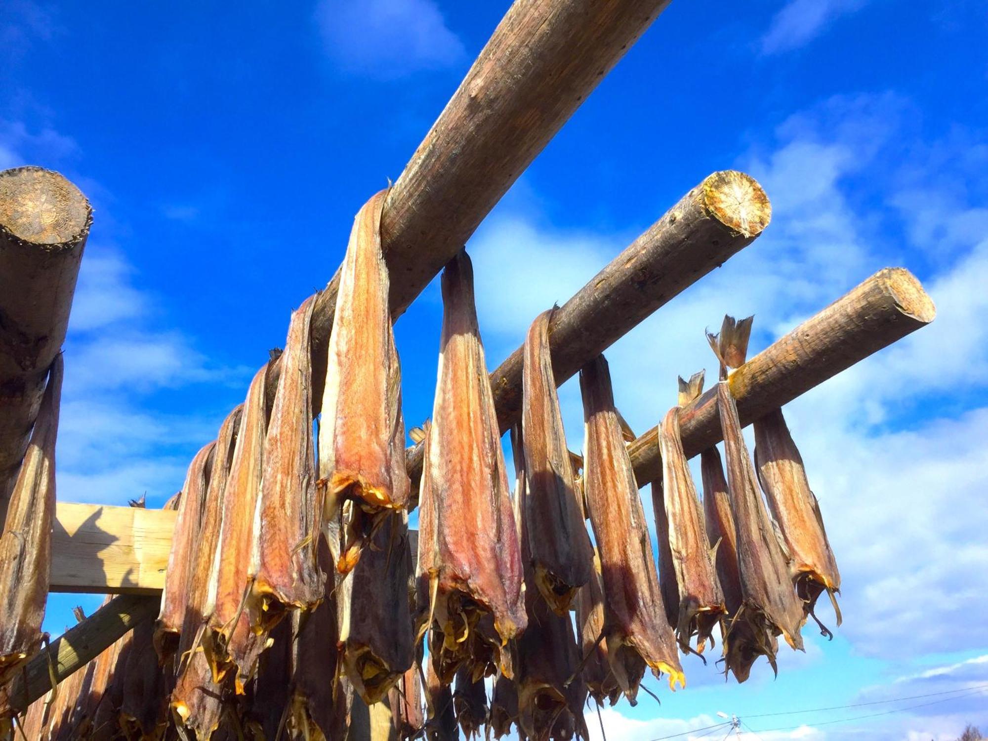 فيلا Stamsund Authentic Rorbu المظهر الخارجي الصورة